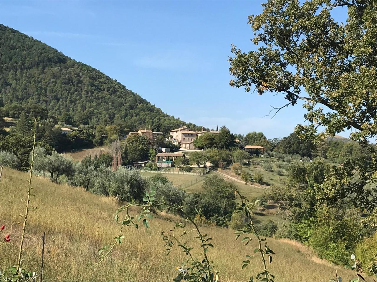 Agriturismo Il Castello Assisi Exterior foto
